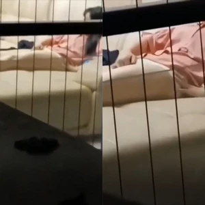 Quay lén em hàng xóm móc lồn trên ghế sofa phòng khách