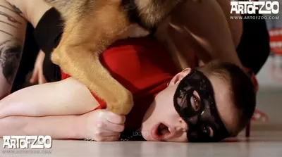 Phim sex Thú tổng hợp đủ thể loại