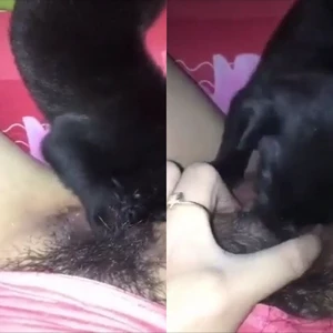 Em gái nứng lồn cho chó liếm