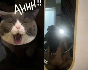 Đút đít chị gái sinh năm 99 làm cùng công ty